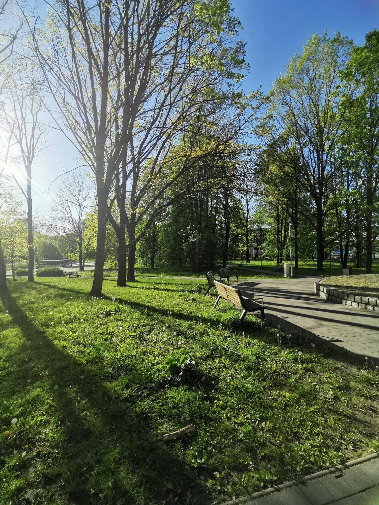 Vava * Klaipėda